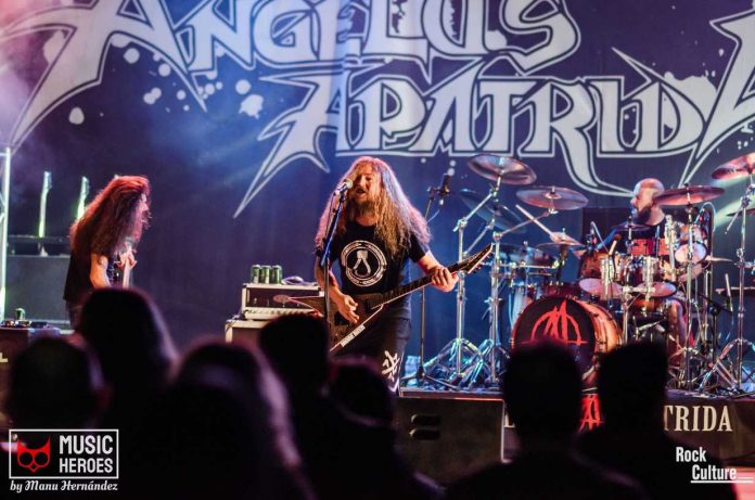 ANGELUS APATRIDA (12)