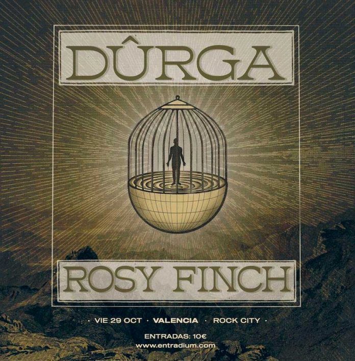 durga-y-rosy-finch Durga y Rosy Finch Valencia
