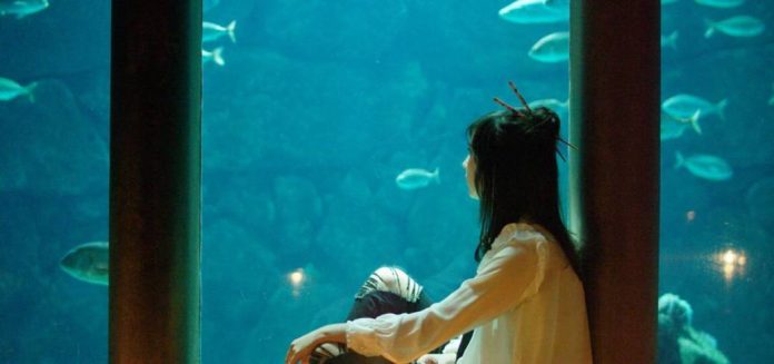imagen-home-1038x487