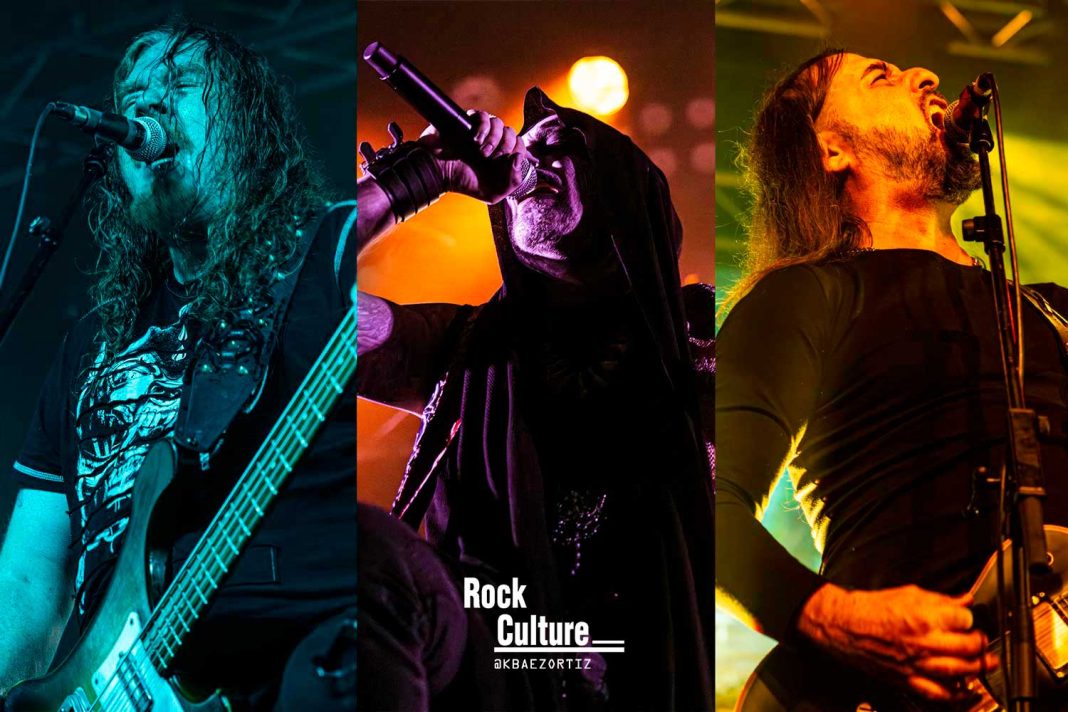 seth_bork_rotting_bcn_kbaezortiz_2024