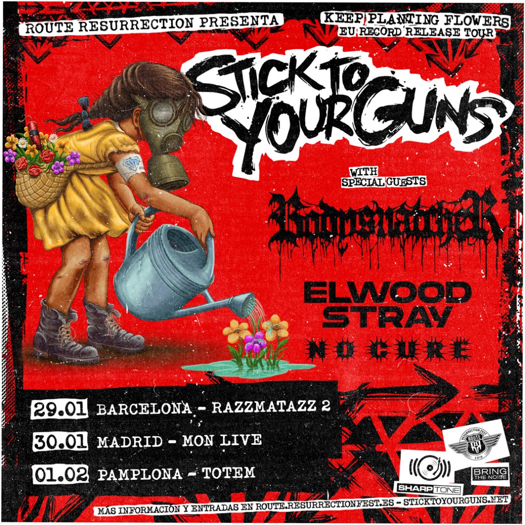 Stick to your guns