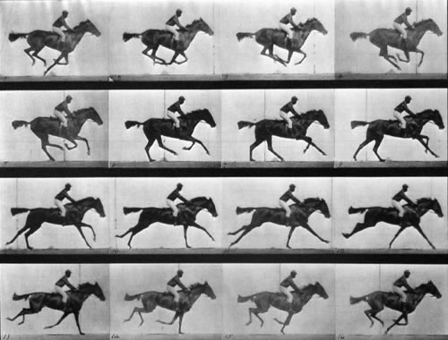 Muybridge cronofotografía